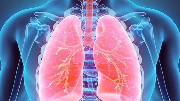 Curare la bronchite, rimedi naturali per la bronchite